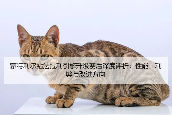 meng-te-li-er-zhan-fa-la-li-yin-qing-sheng-ji-sai-hou-shen-du-ping-xi-xing-neng-li-bi-yu-gai-jin-fang-xiang-2-954.jpg